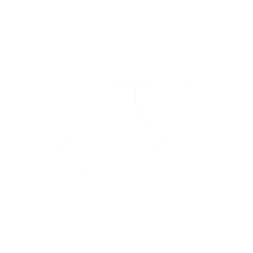 Flying Rat Studio