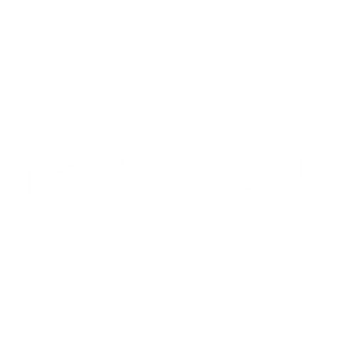 Somnium Space