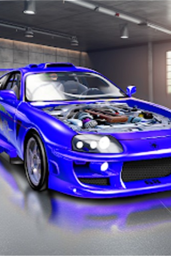 Garage Mania