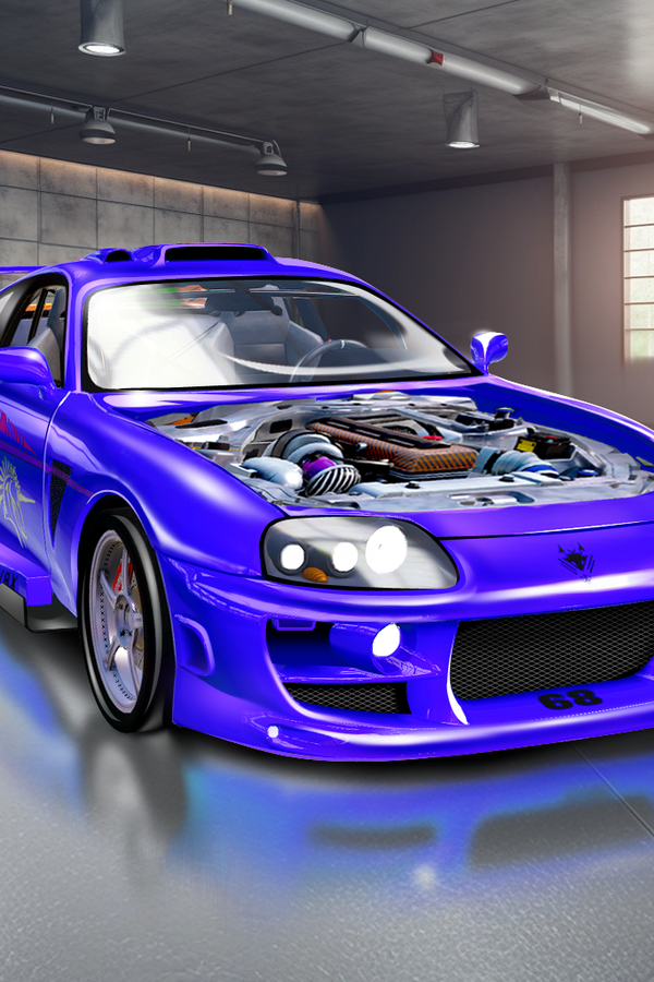 Garage Mania